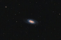 NGC 2903