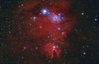 NGC 2264